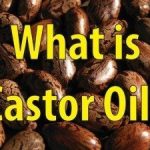 What is castor motor oil
