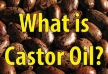 A Brief Introduction To Castor Motor Oil, One Of The Most Prolific Oils In History A Brief Introduction To Castor Oil, One Of The Most Prolific Oils In History