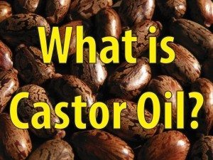 A Brief Introduction To Castor Oil, One Of The Most Prolific Oils In History