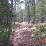 Cuchara Recreation Area – Indian Creek Trail Photo Gallery