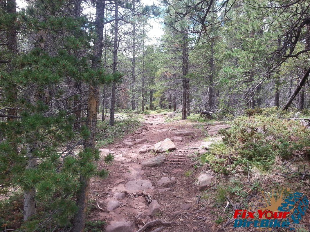 Cuchara Recreation Area – Indian Creek Trail Photo Gallery Cuchara Recreation Area - Indian Creek Trail Photo Gallery