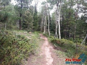 Cuchara Recreation Area Indian Creek Trail Bakers Trail Downhill