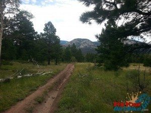 Cuchara Recreation Area Indian Creek Trail Wide Downhill