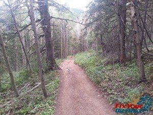 Cuchara Recreation Area Indian Creek Trail Wide Downhill