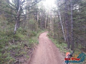 Cuchara Recreation Area Indian Creek Trail Wide Uphill