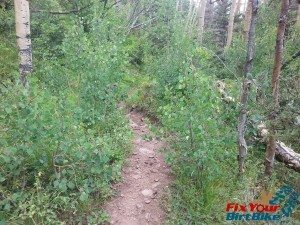 Cuchara Recreation Area Indian Creek Trail Bakers Trail Narrow Downhill