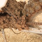 O-Ring Chain Abuse