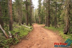 Cuchara Recreation Area Trinchera Peak Downhill