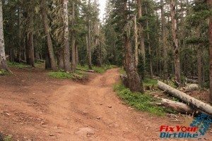 Cuchara Recreation Area Trinchera Peak Trail Split Uphill