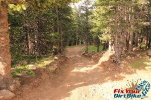 Cuchara Recreation Area Trinchera Peak Tree Line Downhill
