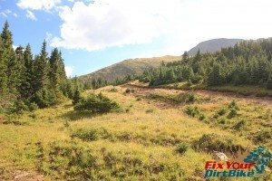 Cuchara Recreation Area Trinchera Peak Tree Line Uphill