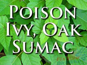 How To Treat Poison Ivy, Oak, & Sumac - First Aid