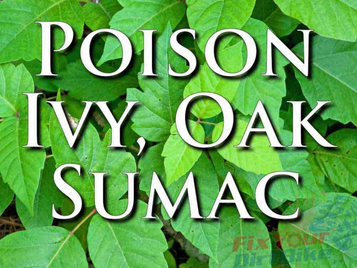 External First Aid Training Poison Ivy Oak Sumac