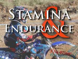 Rider Fitness: Stamina and Endurance Training