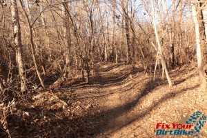 School Creek ORV Dead tree trail