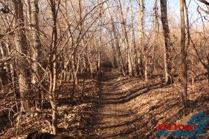 School Creek ORV Dead wood wide open trail