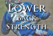Lower Back Strength Training Is CHEAP Insurance Against Spinal Injuries Rider Fitness: Lower Back Strength Training