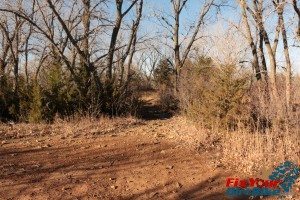 School Creek ORV Offshoot trail