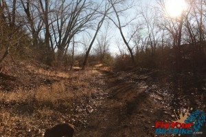 Wide open trail
