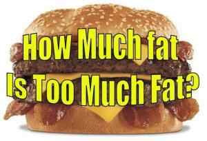 Rider Nutrition: How Much Fat Is Too Much Fat
