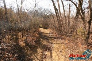 sandy rutted trail
