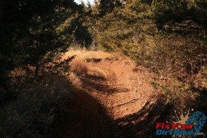 sweet berm 2