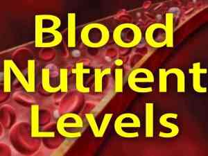 Rider Nutrition: How Blood Nutrient Levels Impact Performance