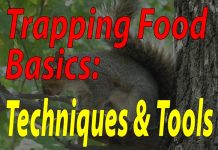 Trapping Food Basics: The Top 5 Trapping Techniques & The Tools Needed To Make Them Trapping Food Basics Techniques And Tools - Featured