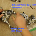 1 – Your exhaust valve governor sits at the bottom front of your right crankcase